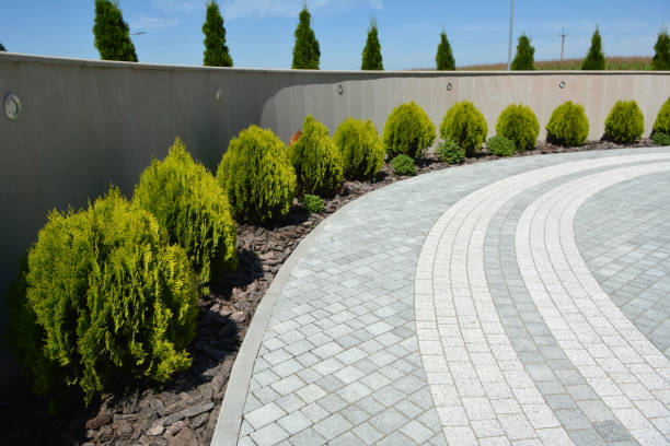 Best Decorative Driveway Pavers  in Mclean, TX